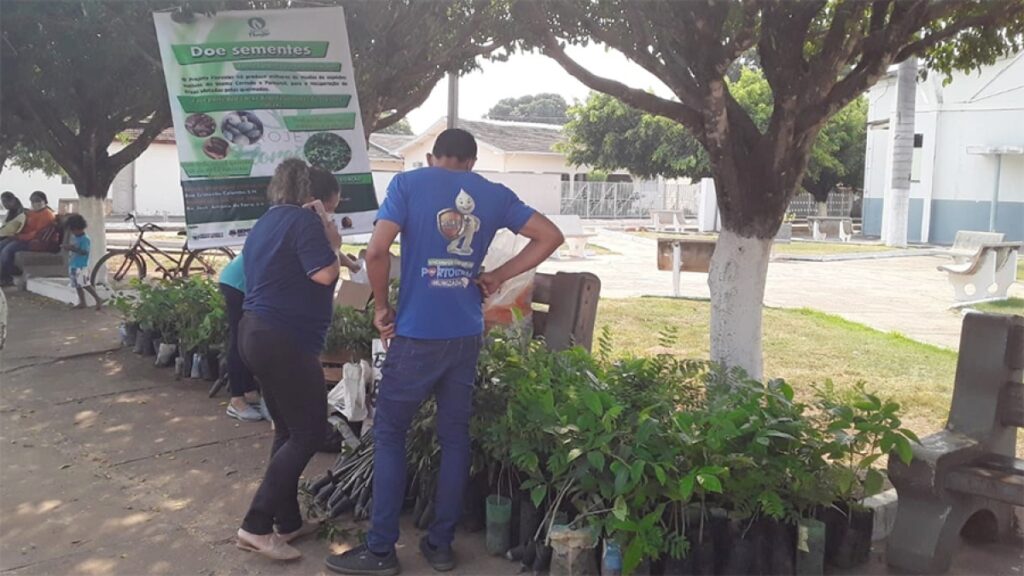 Projeto florestar