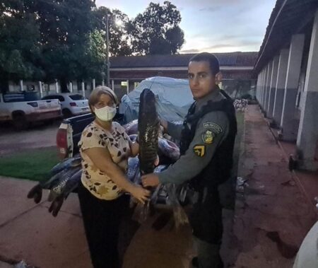 Pesca irregular